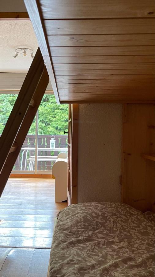 Cosy Studio On The Slopes And Centre Of Chamonix Esterno foto