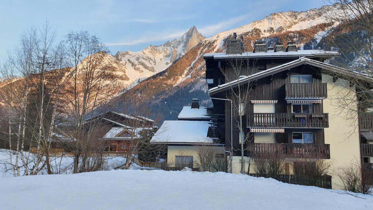 Cosy Studio On The Slopes And Centre Of Chamonix Esterno foto