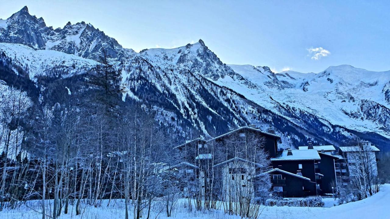 Cosy Studio On The Slopes And Centre Of Chamonix Esterno foto